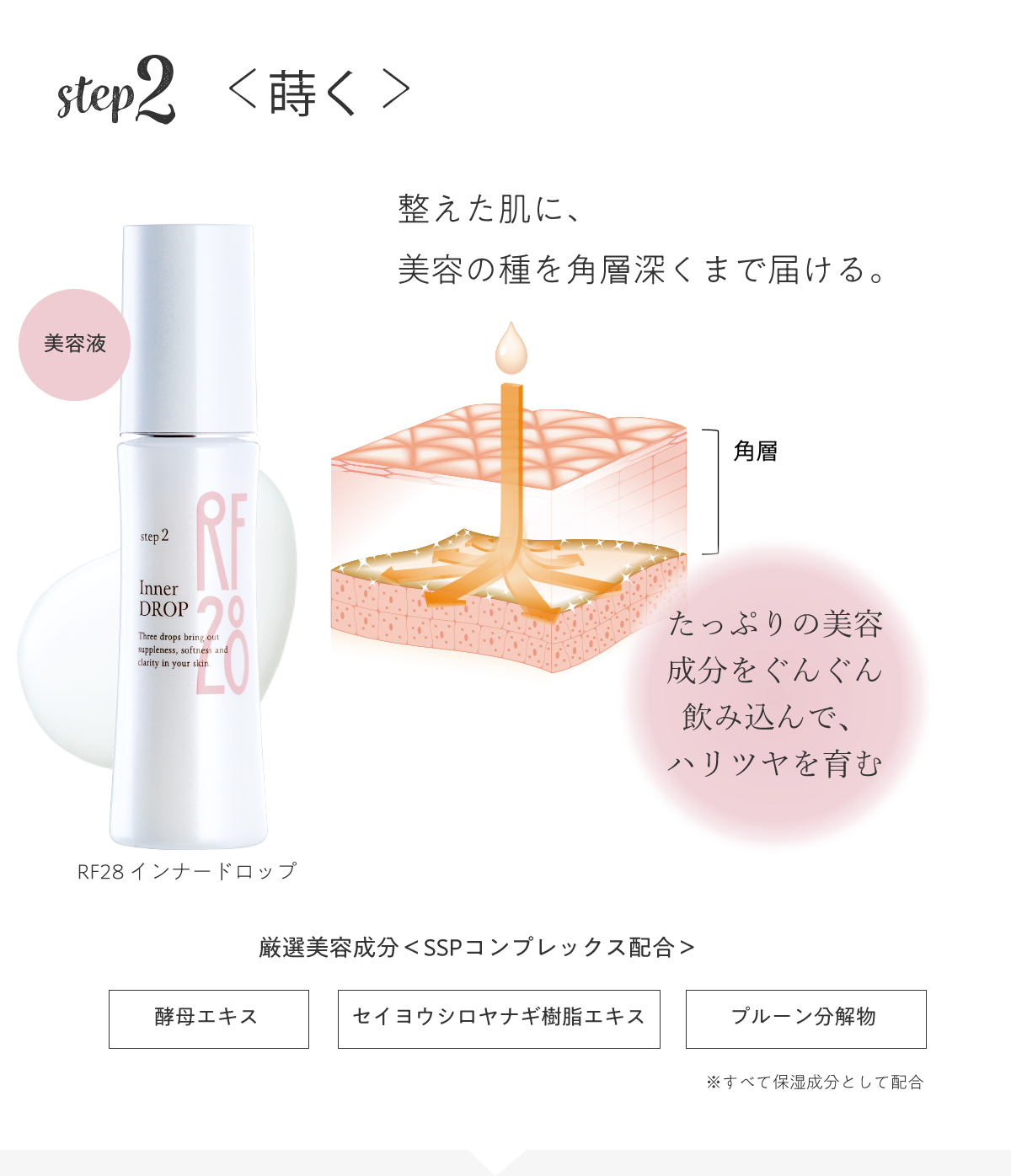 STEP2 蒔く 角質を整えた肌に、
美容の種を角層深くまで届ける。RF28 インナードロップ