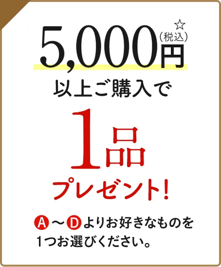 5000円以上ご購入で1品プレゼント!