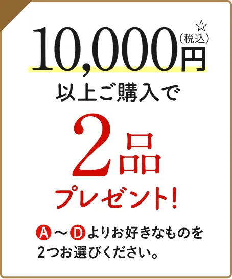 10000円以上ご購入で2品プレゼント!