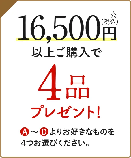 16500円以上ご購入で4品プレゼント!