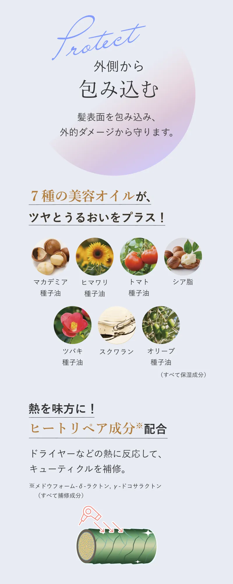 Protect 外側から包み込む