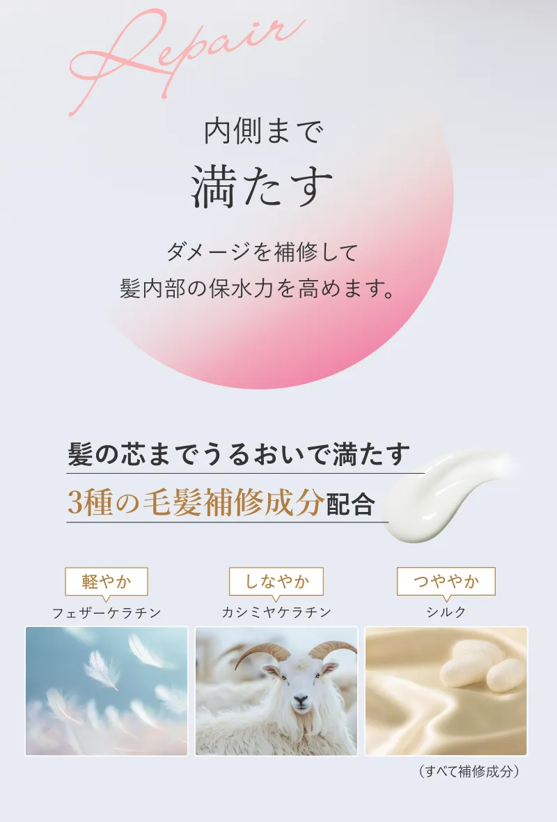 Repair 内側まで満たす