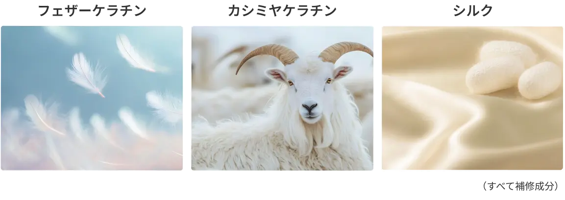 フェザーケラチン/カシミヤケラチン/シルク