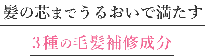 髪の芯までうるおいで満たす3種の毛髪補修成分