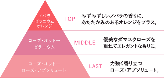 SEコンプレックス