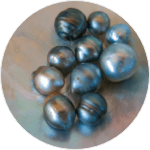 ブラックパール