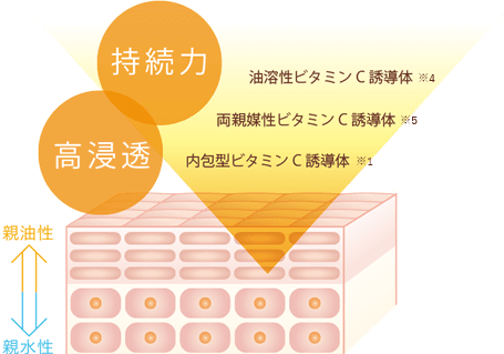 VCの持続力と高浸透