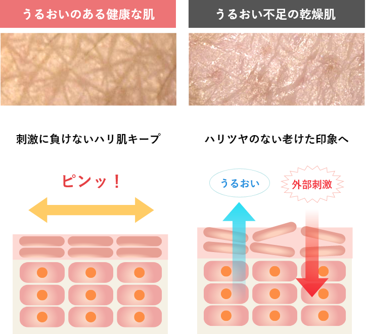 うるおい比較