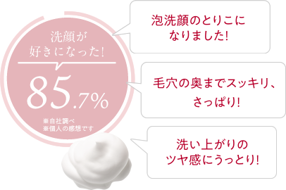 洗顔が好きになった! 85.7% 毛穴の奥までスッキリ、さっぱり! 泡洗顔のとりこになりました! 洗い上がりのツヤ感にうっとり!