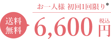 お一人様 初回1回限り 送料無料 6,600円(税込)