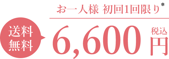 お一人様 初回1回限り 送料無料 6,600円(税込)