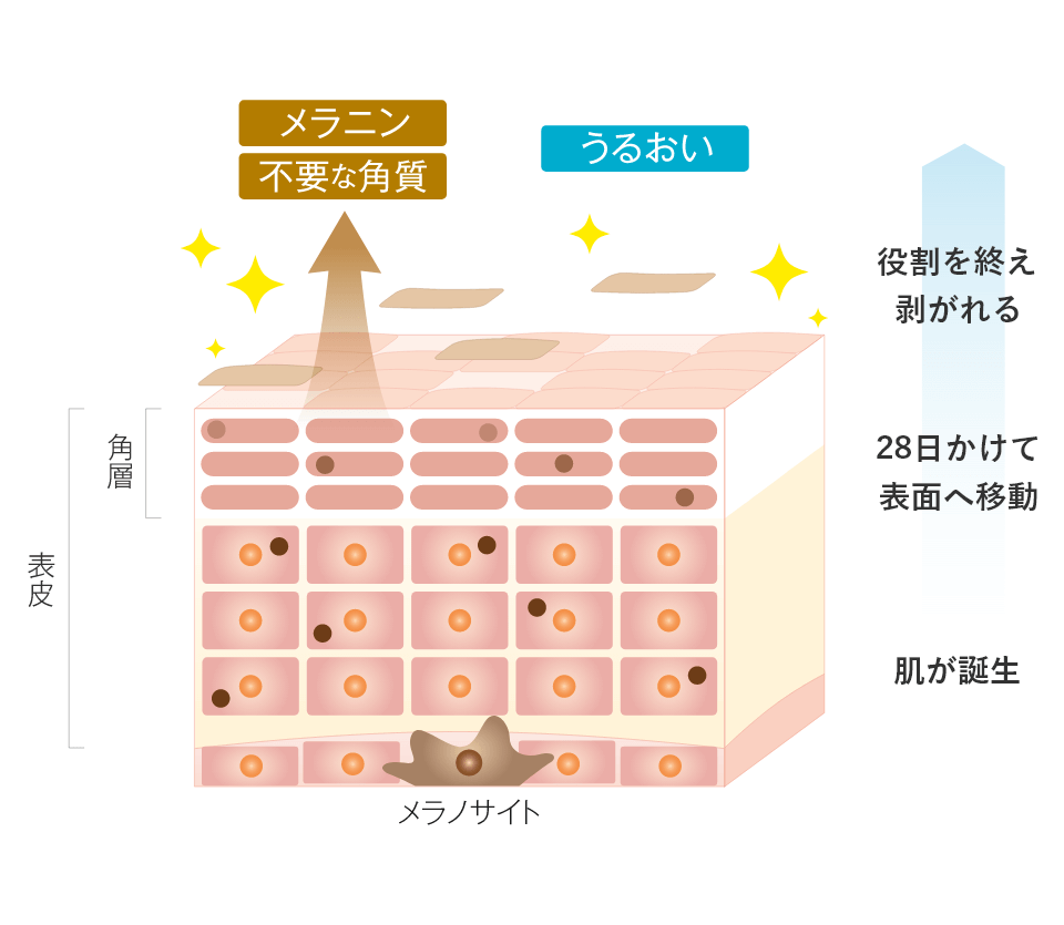 イメージ画像