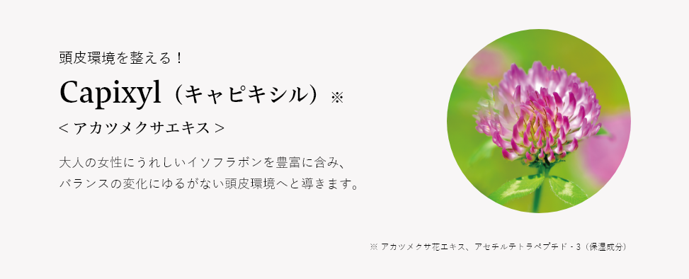 アカツメクサエキス