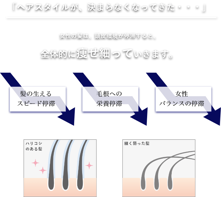 ヘアスタイルが、決まらなくなってきた・・・