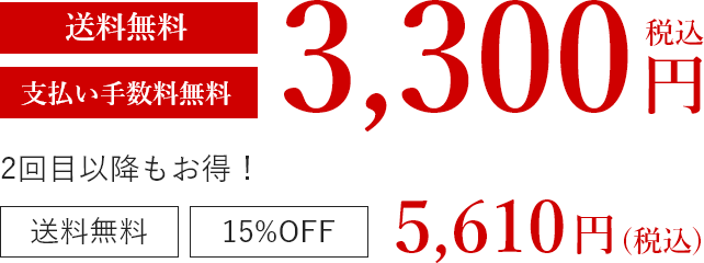 3,300円(税込)