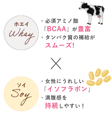 POINT03 速効性＆持続性のいいとこどり！Wプロテイン