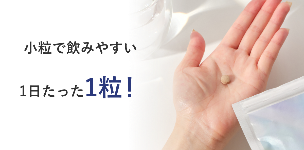 小粒で飲みやすい1日たった1粒