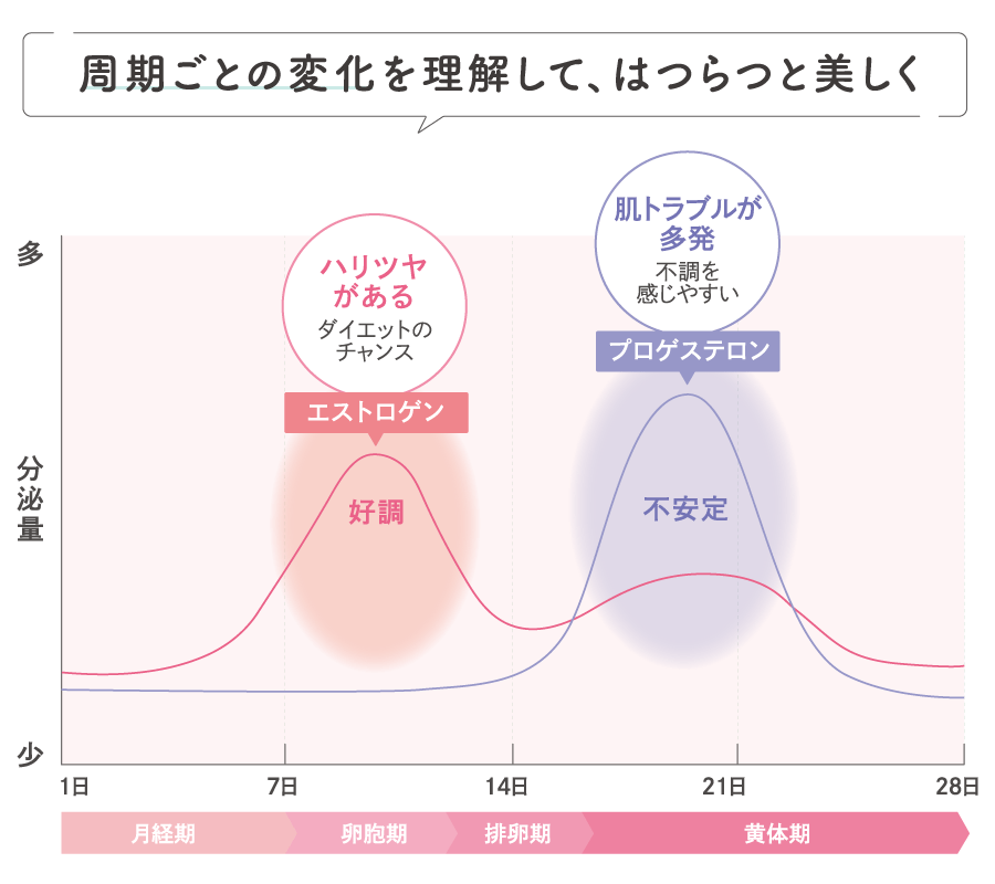 女性の一月のリズム